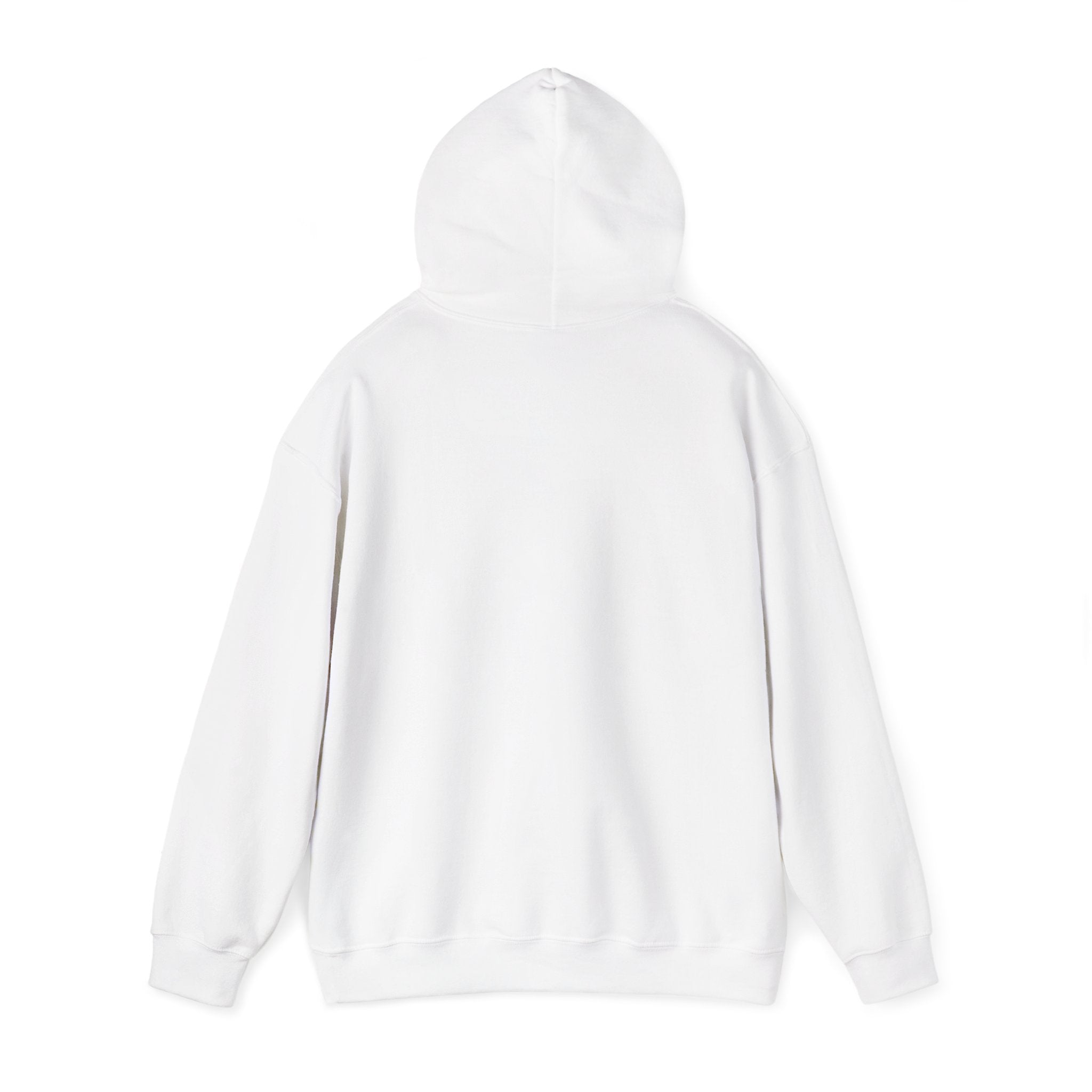 Director Mode On Hoodie