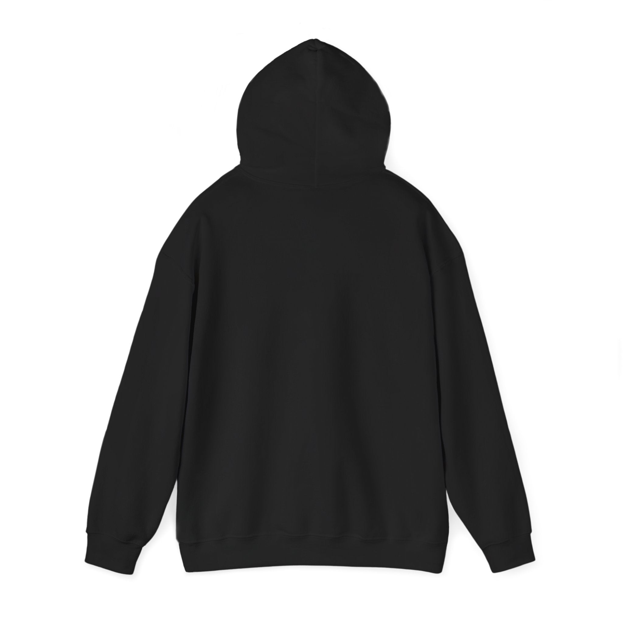 Ask Me About My Movie Collection Hoodie